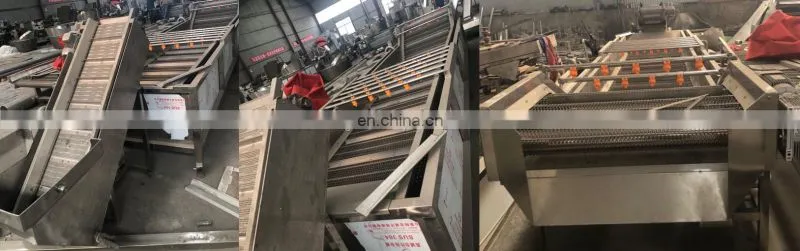 stainless steel apple/pear/mango/fruit/vegetable washing/cleaning/processing machine/equipment