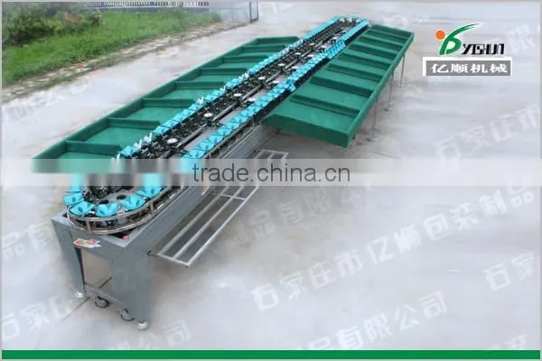 Fruit Sorting Machine for Pineapple, mango, grapefruit, dragon fruit