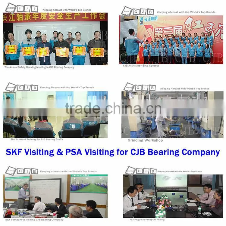 CJB High Speed Passenger Car DAC Hub Bearing