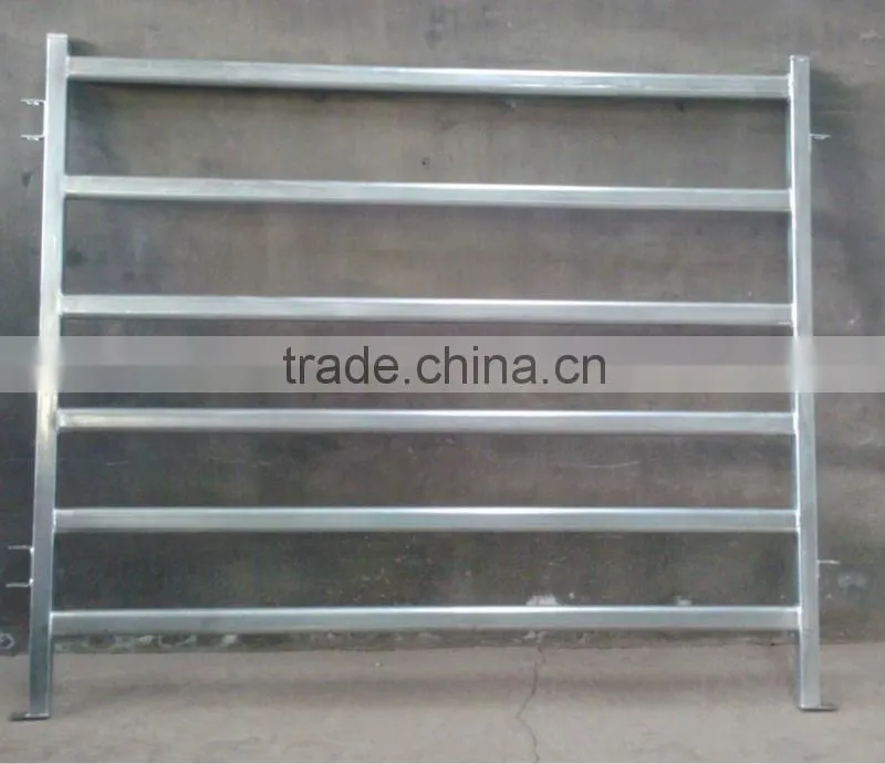 galvanised 40x40 SHS RAIL cattle panel
