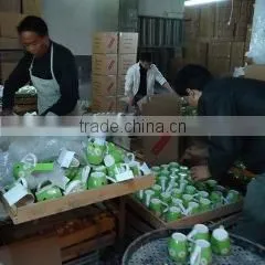 Fujian Dehua E.V.T. Gift Co., Ltd. company overview - view 3