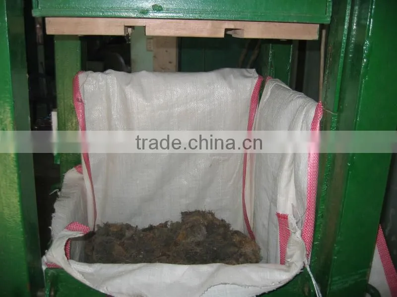 Gracilaria (seaweed)