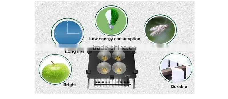 250W AC85-265 led flood light