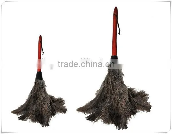 Spring Special ostrich Feather Dusters wooden handle unique unusual