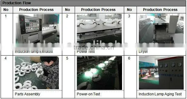 40w-80w induction courtyard light