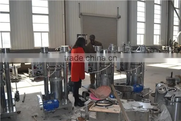 small cold press oil machine from factory