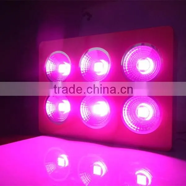 Hydroponic system 1200w led grow light