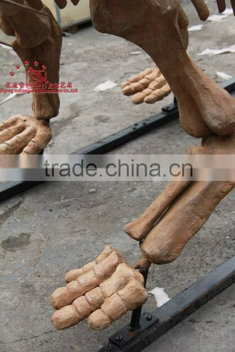 High Quality Simulated Dinosaur Skeleton Model Of Tuojiangosaurus