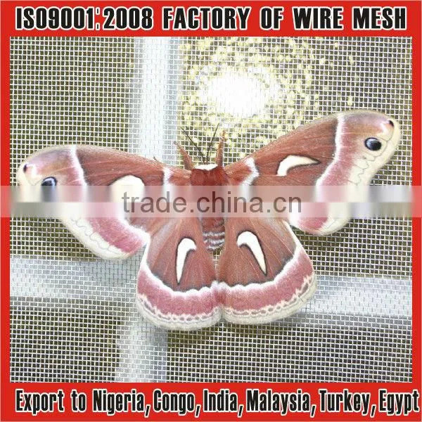 electro galvanized steel insect screen