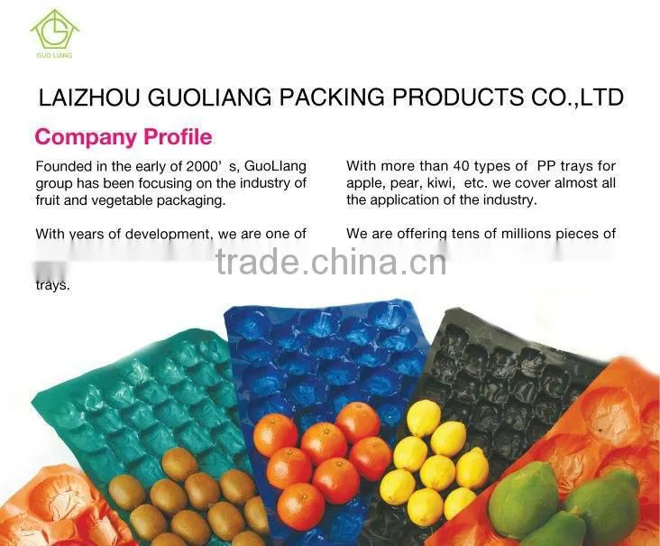 Plastic Stackable Fruit Tray