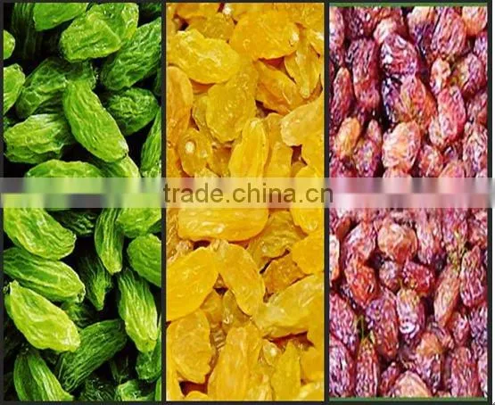 fresh dried black raisin high quality good price