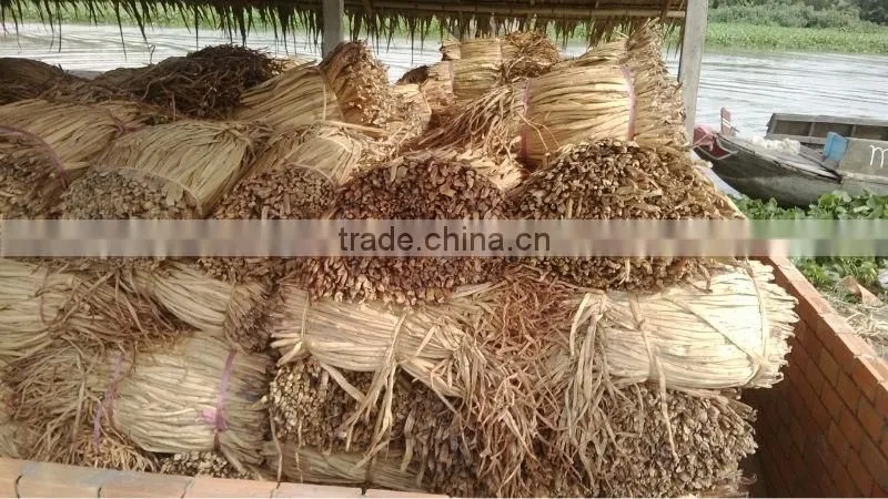 Dried Water Hyacinth _ QQ : 2598494113
