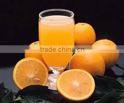 Freeze Dried Brazil Orange juice concentrate