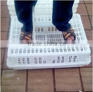 plastic poultry crate/poultry transport crate/poultry cage