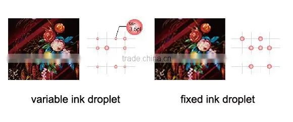 1.8m plotter eco solvent 1440 dpi with four DX5 Printhead