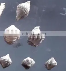 automatic spaghetti equipment
