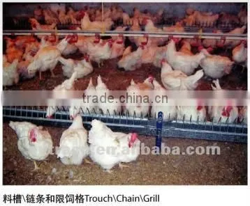 Chain feeding system