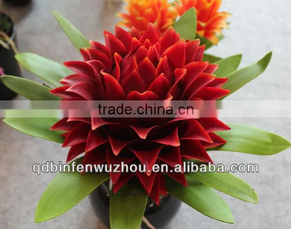 Latest Design Handmade Beautiful Cheap Decorative Artificial Single Stem Flower
