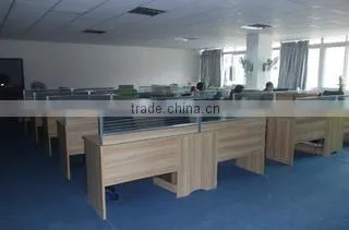 Dongguan Saivlon Sports Goods Limited company overview - view 2
