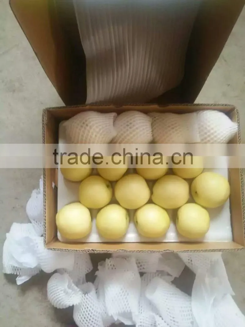fresh fruit exporter from china fresh pear
