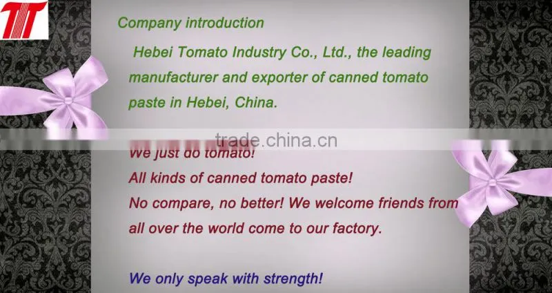 hot sell bottle tomato ketchup VEGO brand