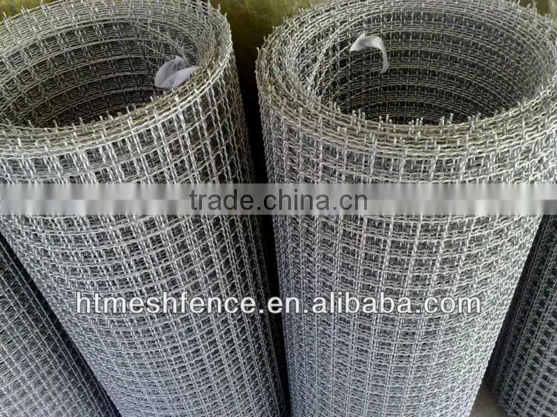 SS square wire mesh (ISO9001:2000 hight quality and low price)