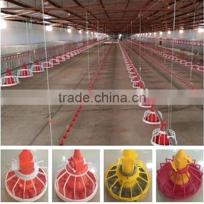 Broiler chicken feeding equipment