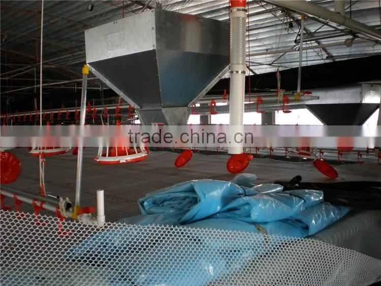 poultry automatic feeding system