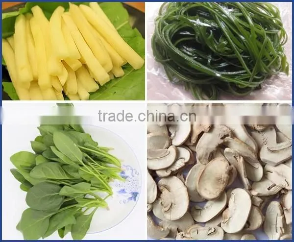 Factory price small stainless steel vegetable dewatering machine