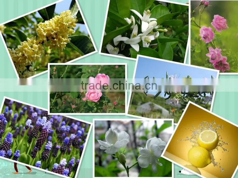 50L Automatic Sunflower Essential Oil making machine on sale