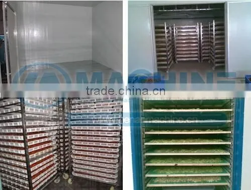 fruit vegetable herb meat fish chilli for moringa leaves