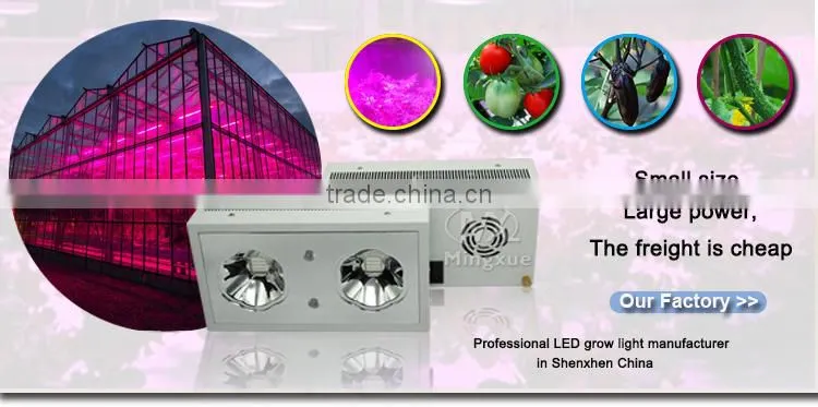 370W Led Grow Light For Bonsai Tree, Cob&Uv Hydroponics 370W Grow Light