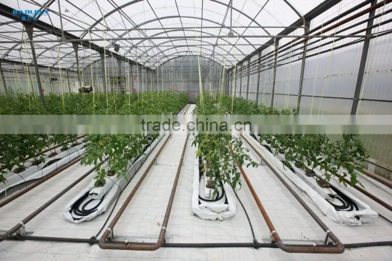 Commercial Greenhouse used