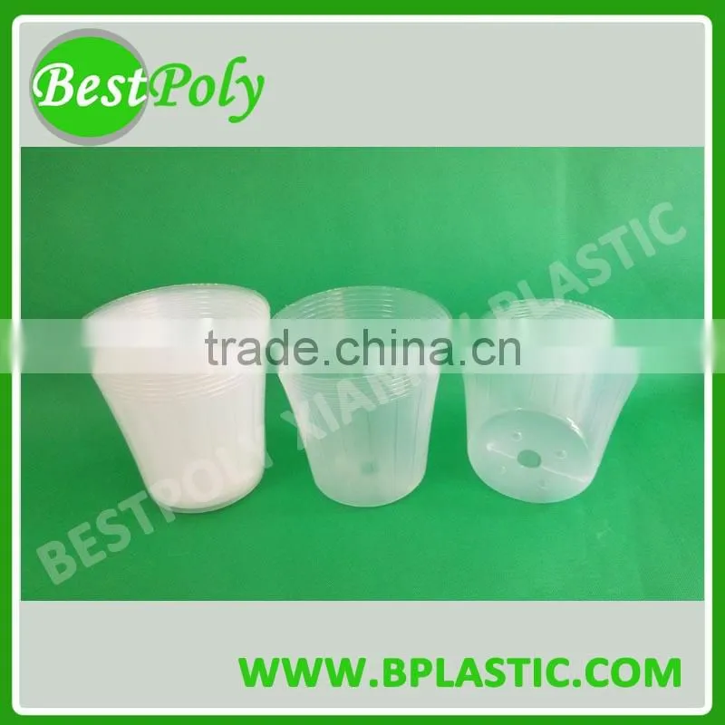high quality plastic orchid phalaenopsis seedling pot for sale