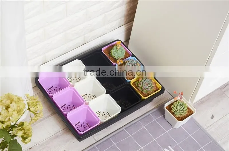 More Thickness Plastic Starting Seeding Flower Pot