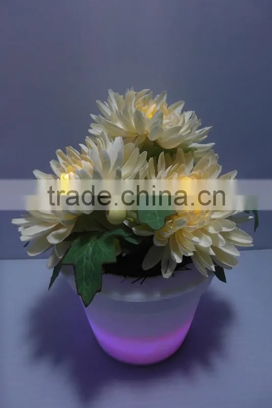cheap home decoration plastic PE solar led light garden flower pot