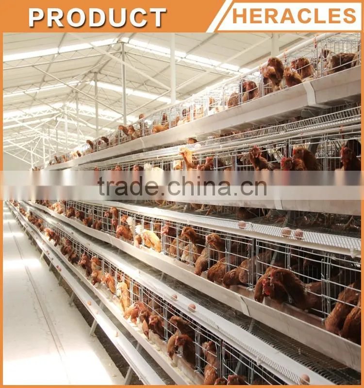 Shandong Heracles trade assurance equipment poultry A type laying hen cages for sale