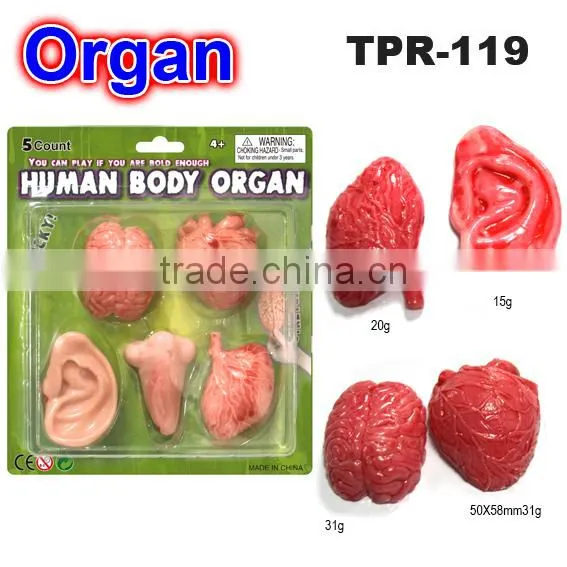 Promotional Soft Organs Toys for Kids
