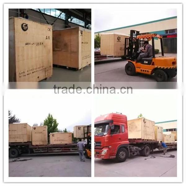 Automatic Film Shrink Wrapping Machine/ Wrapper Shrinker
