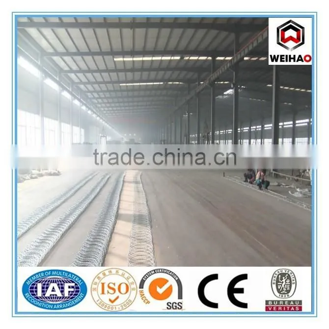 low price concertina razor barbed wire/barbed wire