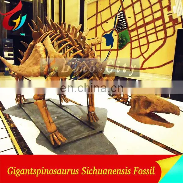 indoor display fiberglass life size dinosaur skeleton