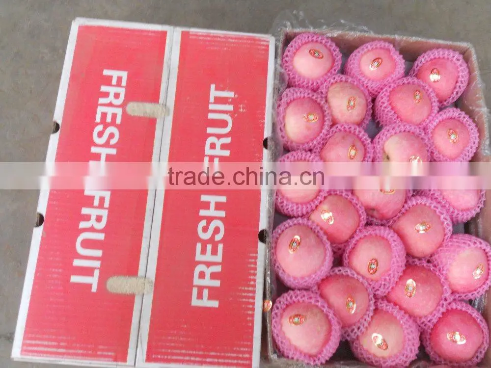 Chinese fresh Yantai Fuji apple fruit supplier