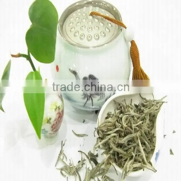 China Fuding white tea, health and natural bai hao yin zhen/ white silver needle white tea