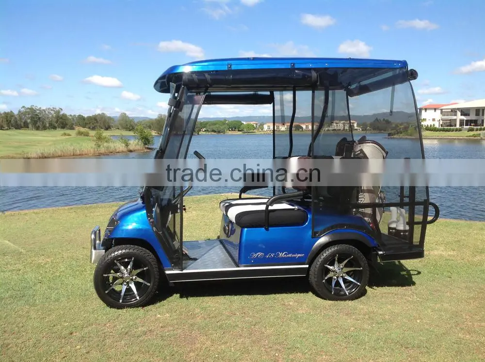 HOT New Model Top Selling Electric Mini Golf Cart for Sale