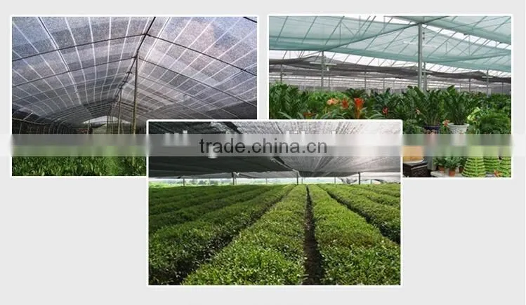 Changzhou agriculture green shade net
