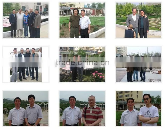 Chinese distributor free style machine made carpet turkey