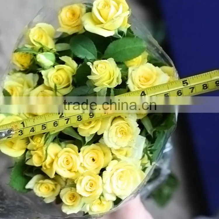 Popular sprayed rose rose flower gold decoration