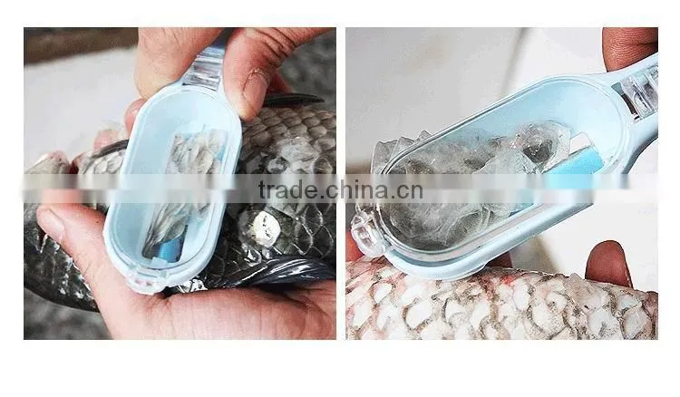 ABS+PS 3 17.3*4*3 Kitchen tools multi scale scraper