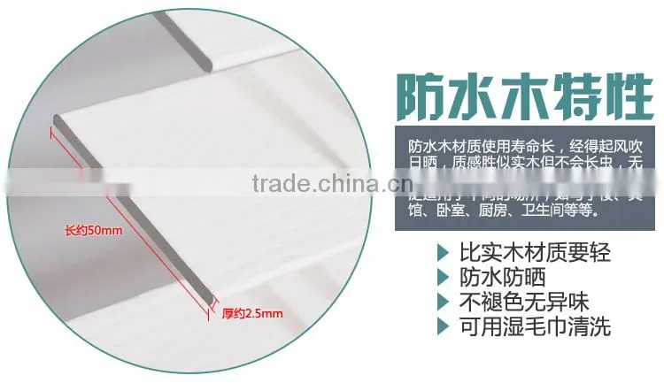50mm PVC BLIND