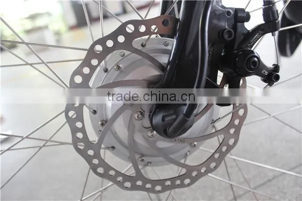 2015 Electric City Bike 250w LMTDF-19L